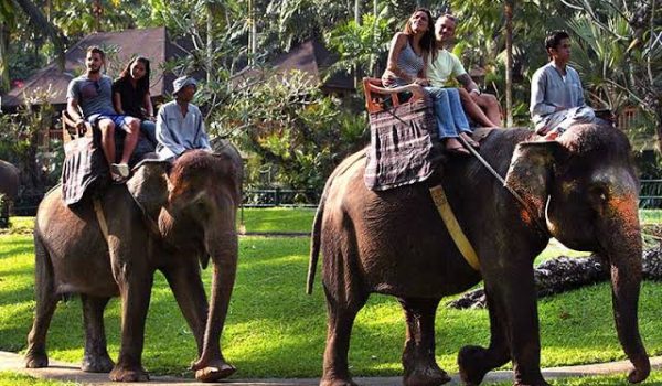 6e317609-b0c5-475a-a9cb-f95102367261